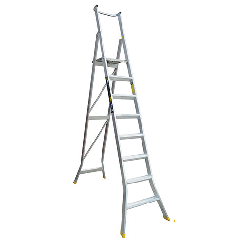 Warthog Platform Ladders