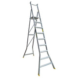 Warthog Platform Ladders