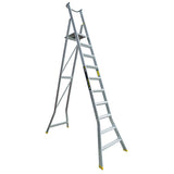 Warthog Platform Ladders