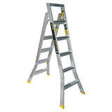 Warthog Dual Purpose Ladders