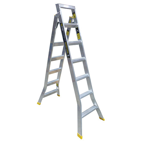 Warthog Dual Purpose Ladders