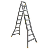 Warthog Dual Purpose Ladders