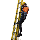 Branach Fall Control System Ladders