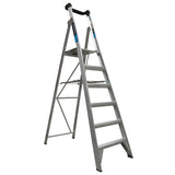 Easy Access Platform Ladder